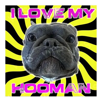 AN0100B I LOVE MY HOOMAN 12"X12"