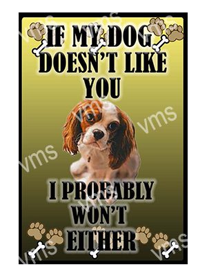 AN037 IF MY DOG KING CHARLES SPANIEL METAL SIGN 8"X12"