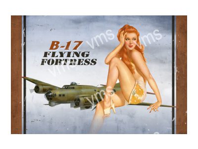 B17001 B17 PIN UP 18"X12"