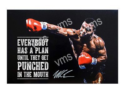 BOX0106 M TYSON EVERYONE HAS A PLAN 12"X8"
