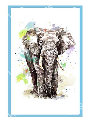 DAZ013 ELEPHANT METAL SIGN  12"X18"