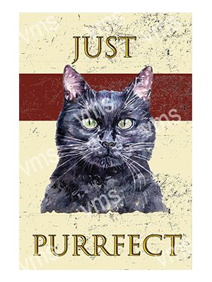 DAZ030 JUST PURRFECT BLACK CAT METAL SIGN 8"X12"