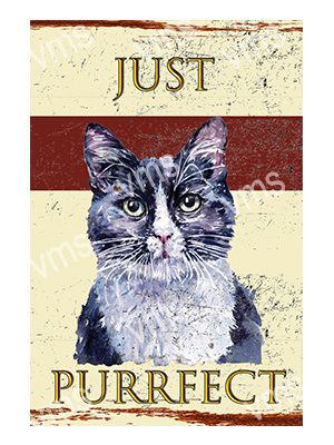 DAZ031 JUST PURRFECT B/WHITE CAT METAL SIGN  8"X12"