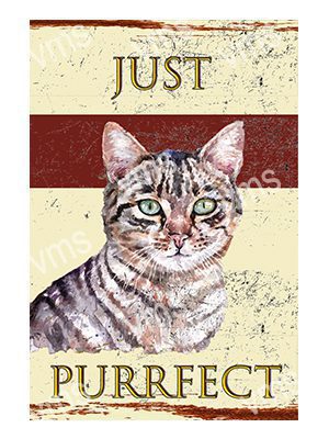 DAZ032 TABBY CAT JUST PURRFECT METAL SIGN 8"X12"