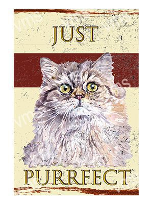 DAZ033 JUST PURRFECT PERSIAN CAT METAL SIGN  8"X12"