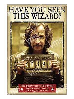 FLM010 H POTTER HAVE YOU SEEN METAL SIGN 8"X12"