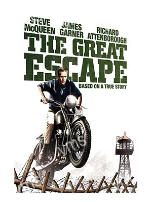 FLM018 - GREAT Escape - STEVE MCQUEEN METAL SIGN 12" x 18"