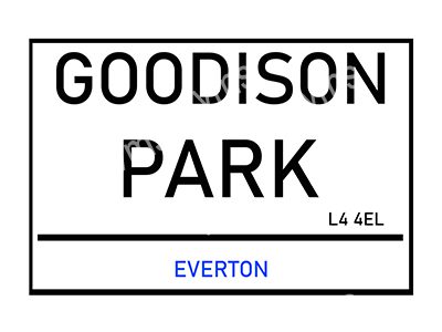FOOT910 GOODISON PARK 12"X8"
