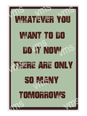 HHU0545 WHATEVER YOU WANT TO DO FUNNY VINTAGE METAL SIGN 8"X12"