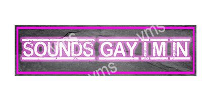 HHU0801 SOUNDS GAY I'M IN FUNNY METAL SIGN 4.5X18