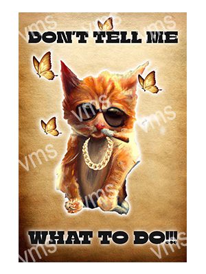 HHU129 DONT TELL ME CAT FUNNY METAL SIGN 8"X12"