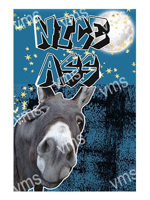 HHU768 NICE ASS METAL SIGN  8"X12"