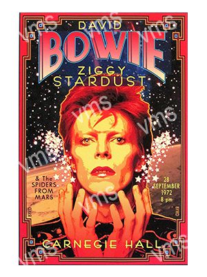 MUSIC0119 DAVID BOWIE ZIGGY STARDUST METAL SIGN  12"X18"