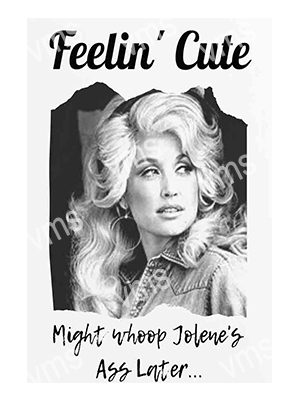 MUSIC0128 DOLLY PARTON  FEELIN CUTE FUNNY METAL SIGN 8"X12"