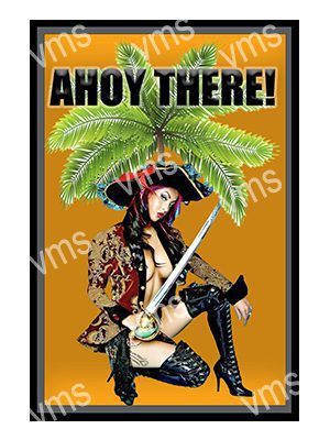 PIN0203 PIN UP PIRATE AHOY THERE METAL SIGN  12"X18"