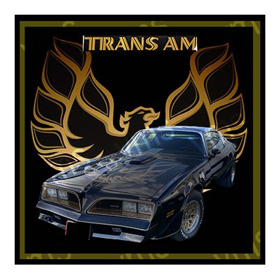 TRANS0100 PONTIAC TRANS AM METAL SIGN 12"X12"